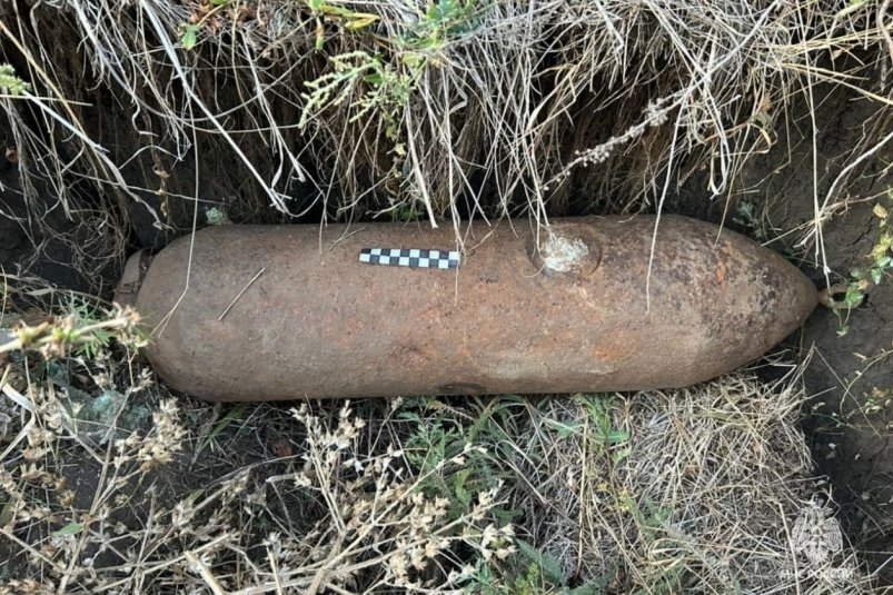 420 взрывоопасных предметов нашли с начала года в Ростовской области МЧС Ростовской области