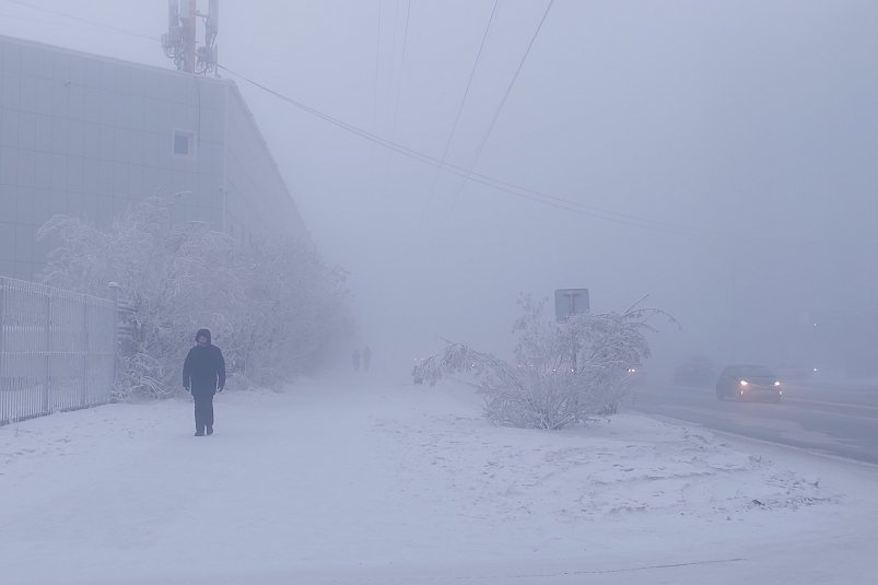 Морозы, туманы, снегопады: синоптики о погоде в Якутии ИА YakutiaMedia