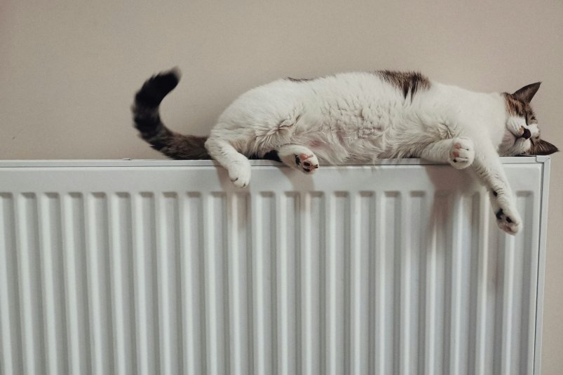 Тематическое фото unsplash.com