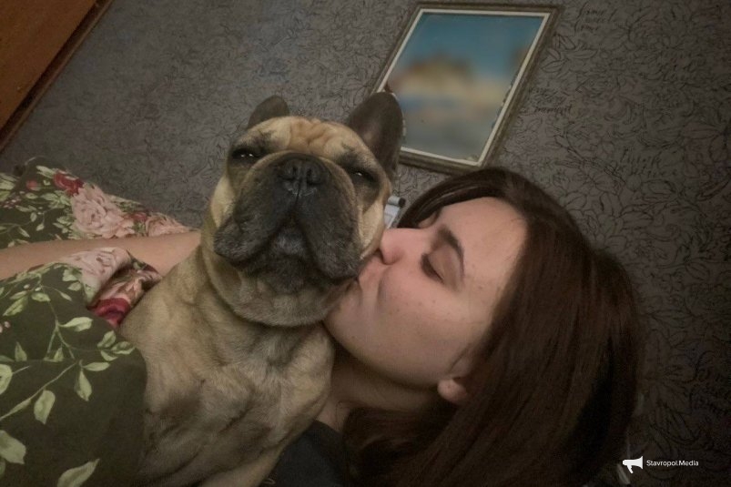 Сколько собака помнит своего хозяина: как на самом деле работает щенячья память - сроки вас удивят ИА Stavropol.Media