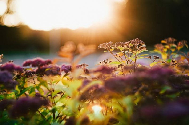 Тематическое фото unsplash.com