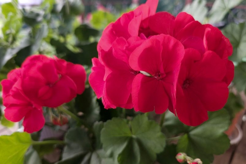 Фото автора автора