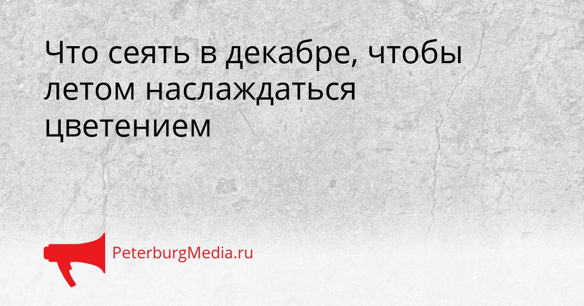 Что сеять в декабре, чтобы летом наслаждаться цветением Сгенерировано