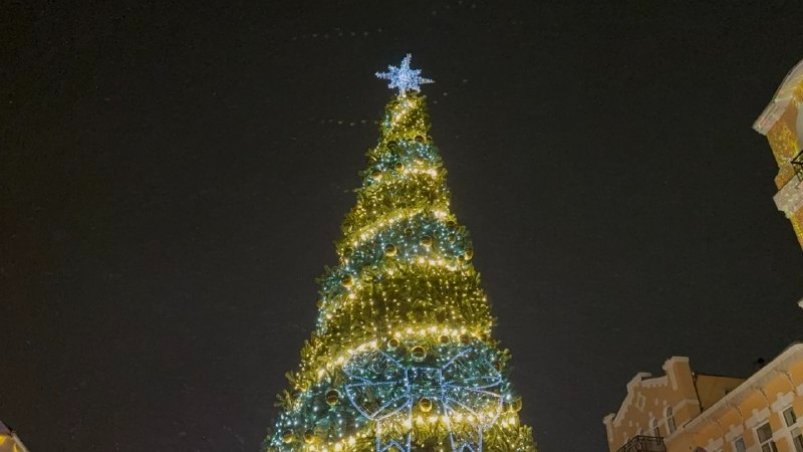 Главную новогоднюю ёлку открыли в Кисловодске Пресс-служба администрации Кисловодска