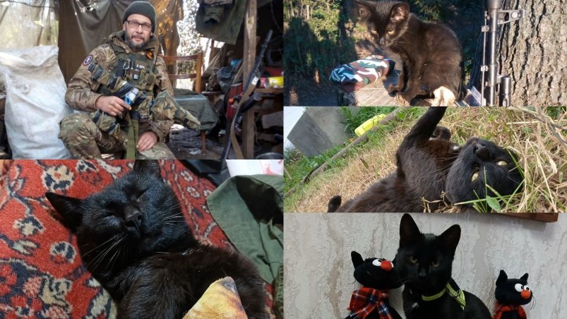 Штурмовик из Ангарска спас кота Трехсотника в зоне СВО Тг-канал (18+) мэра Ангарского округа