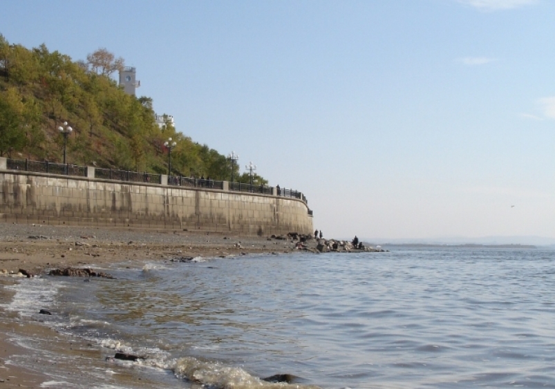 Повышение уровня воды в хабаровском Амуре некритично и наводнением не грозит  Гречанюк Виталий, PrimaMedia