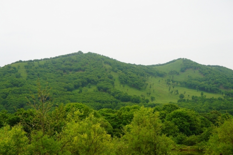 Рейды в лесах Якутии ПримаМедия