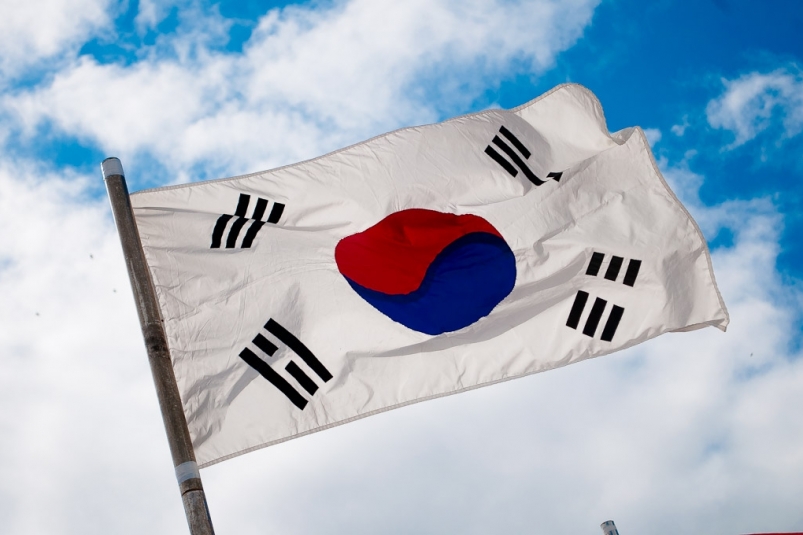 Флаг Южной Кореи Табаченко Илья, РИА PrimaMedia