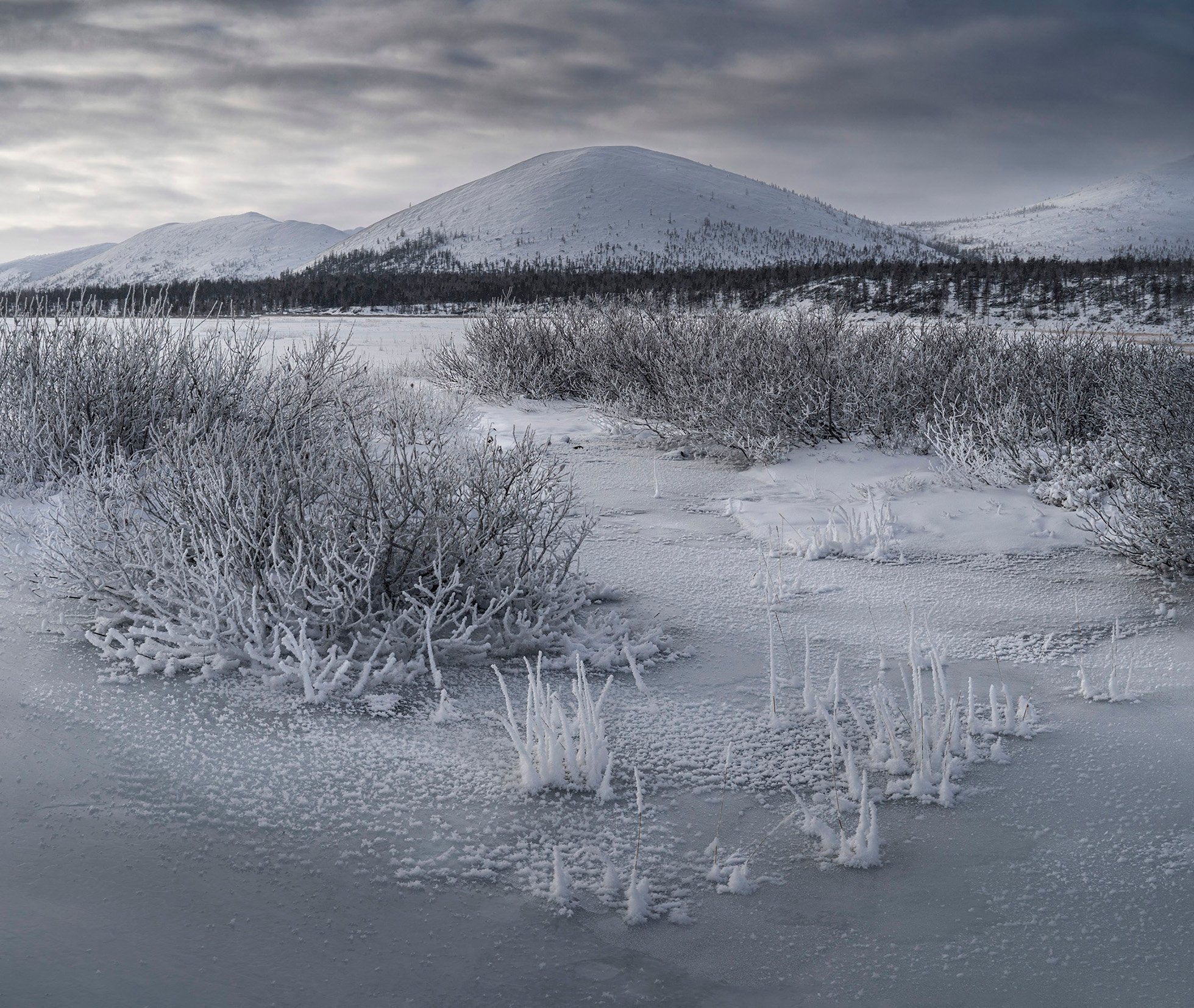 Рецепт икры %22пятиминутки%22