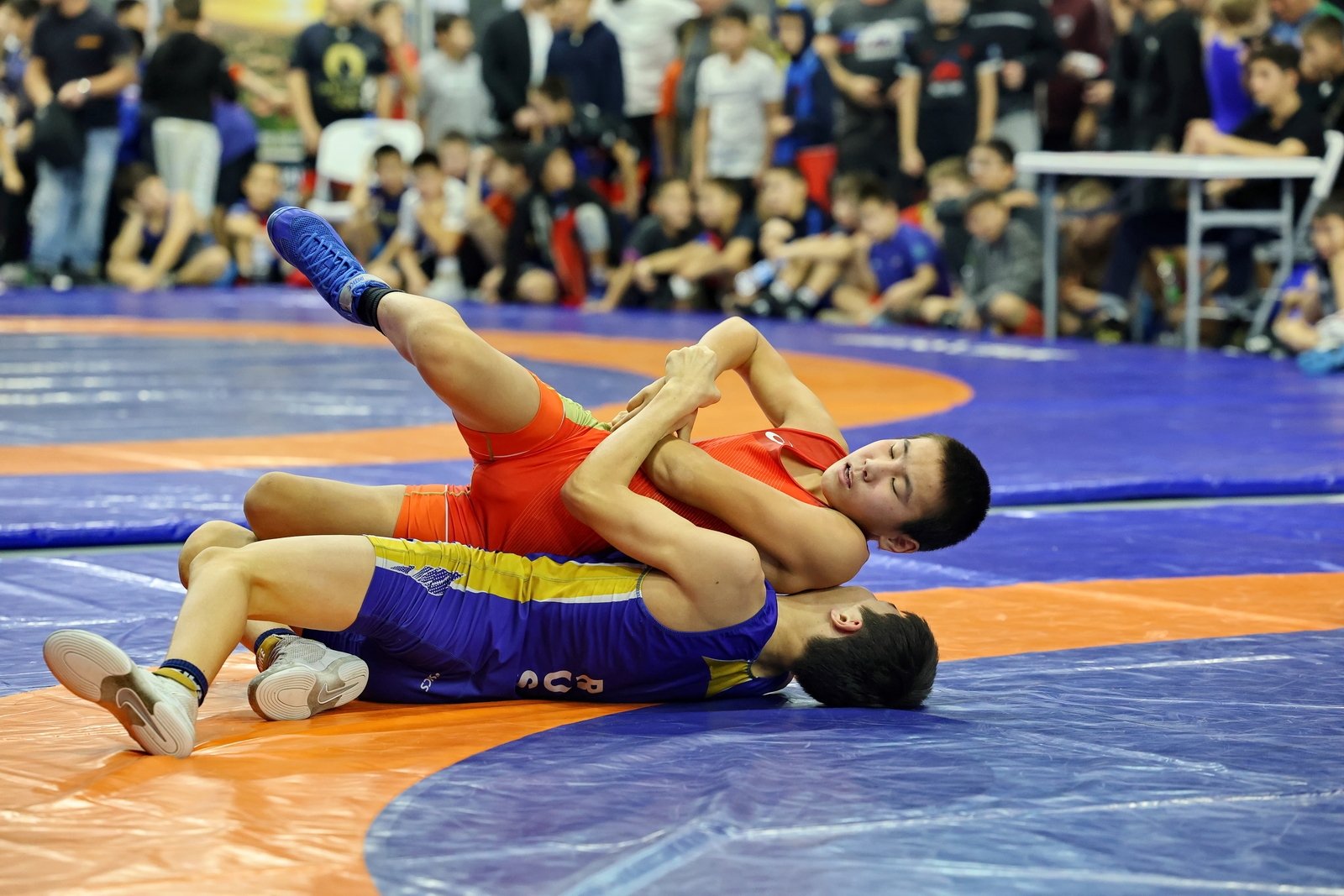 Преподавание языков будет отмирать - Андрей Ланьков о профессиональном будущем молодежи