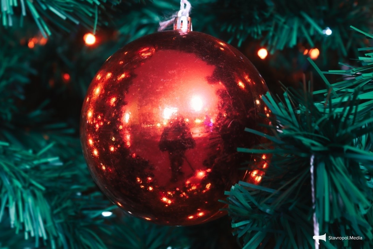 В Ставрополе заработают 16 елочных базаров во всех трех районах