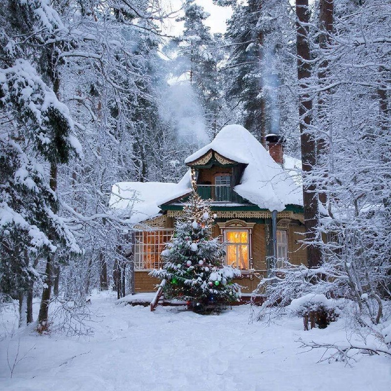 Снимаем похмелье в домашних условиях после новогодней ночи