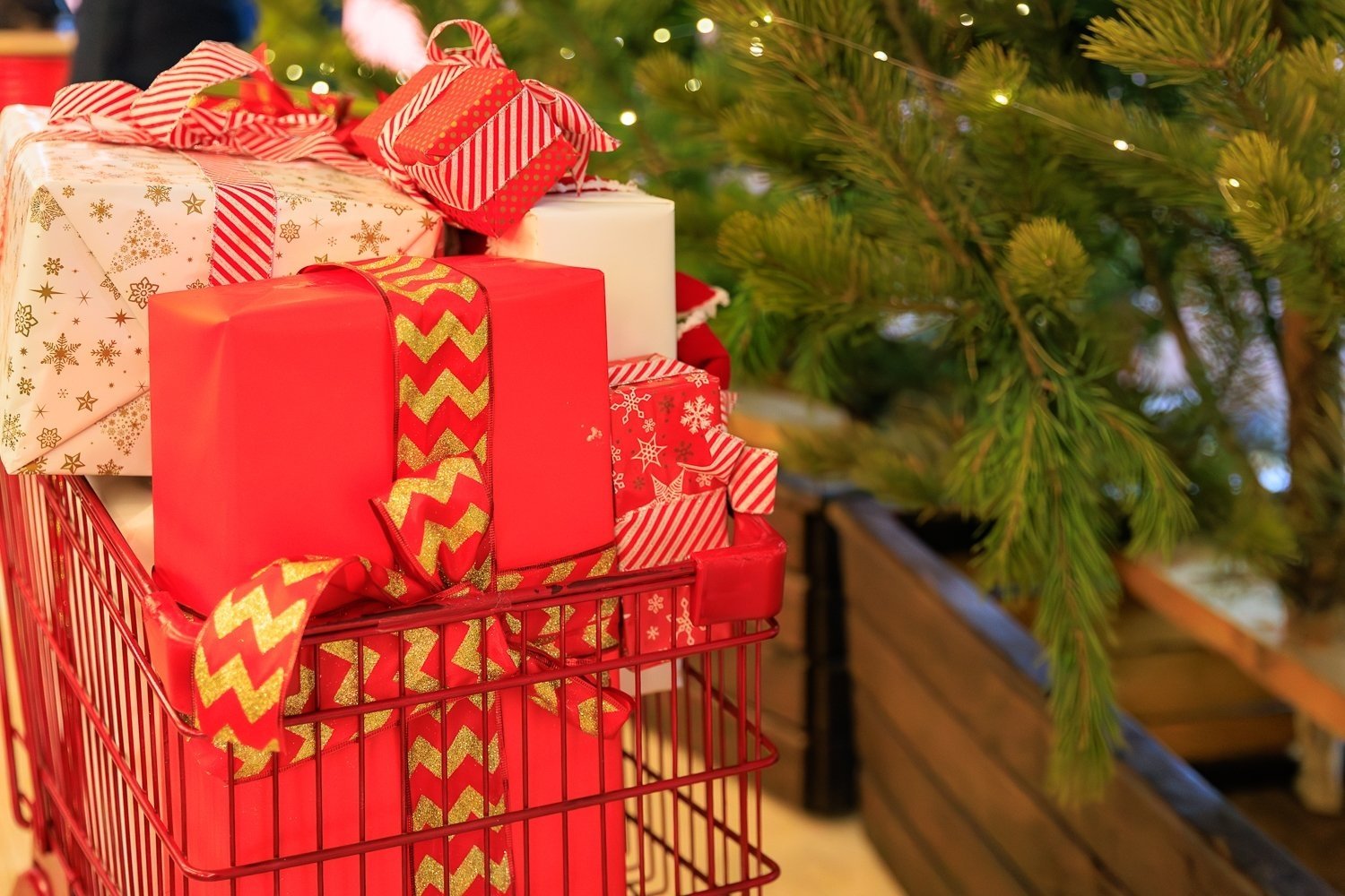 Видовые площадки Владивостока для автолюбителей: как добраться и на что посмотреть