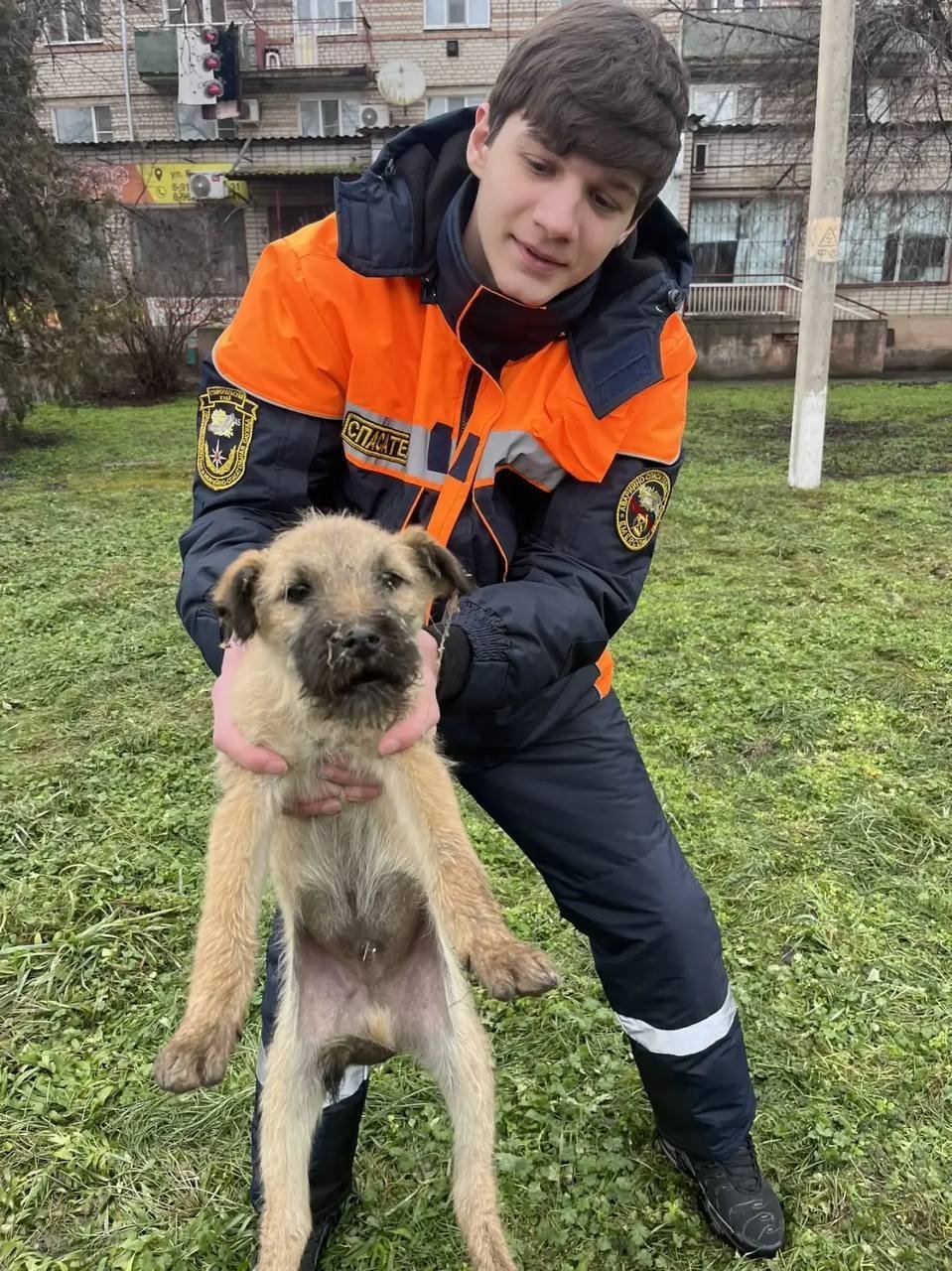 Помочь всем невозможно, пройти мимо тяжело: о добре и зле —  зоозащитники Ставрополя