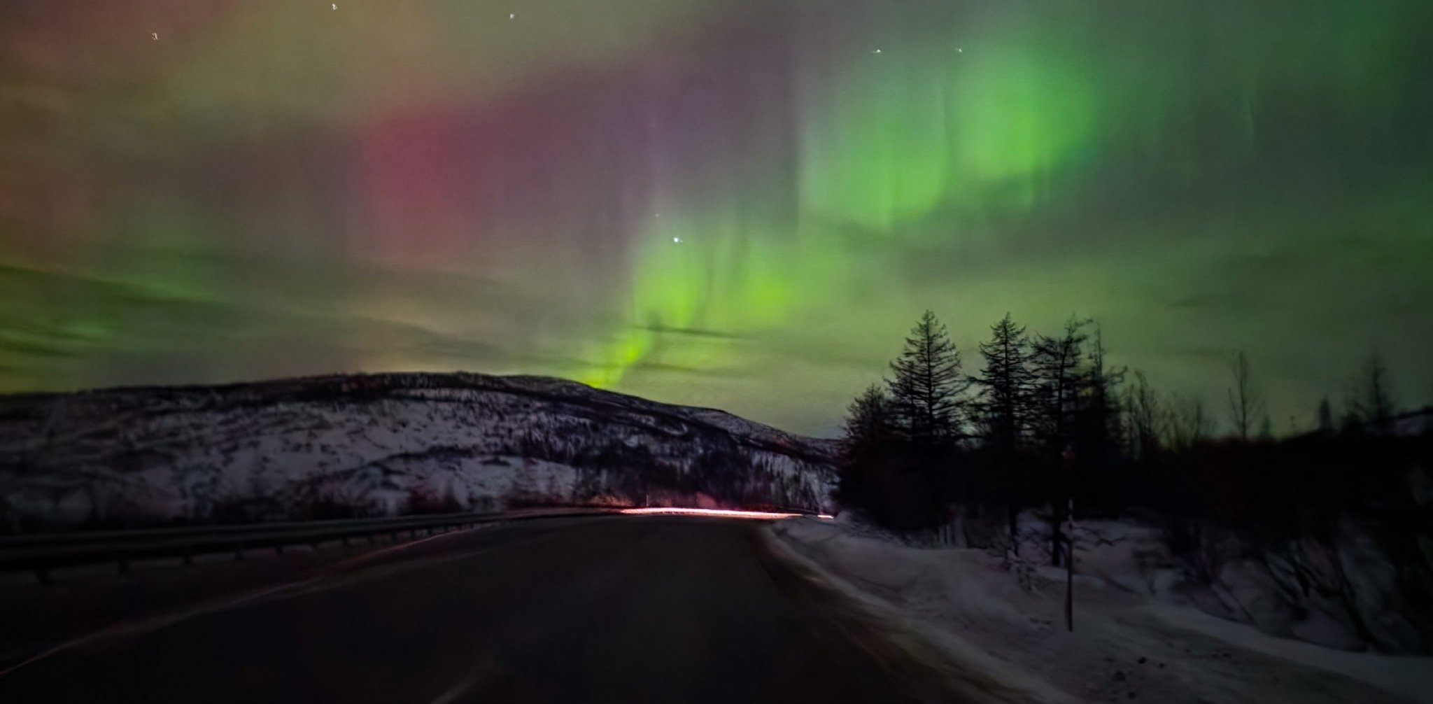 Рецепт икры %22пятиминутки%22