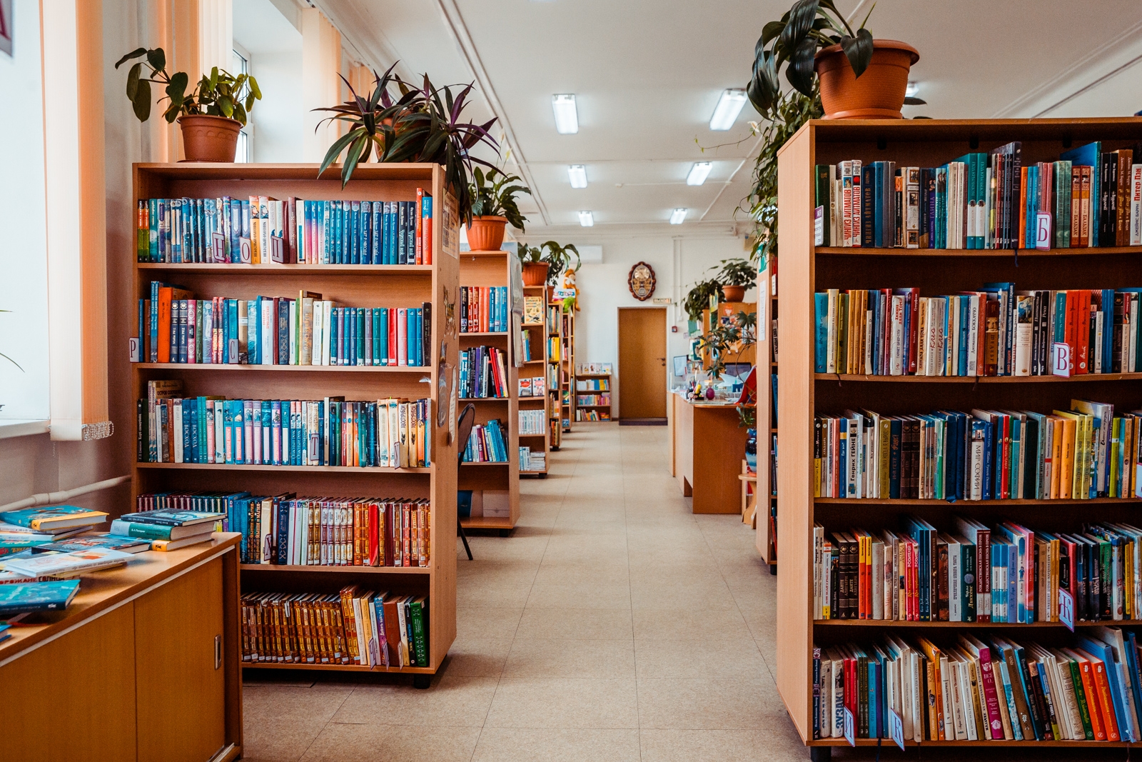 Книги для идеального отдыха: новогодний мастрид от приморских блогеров