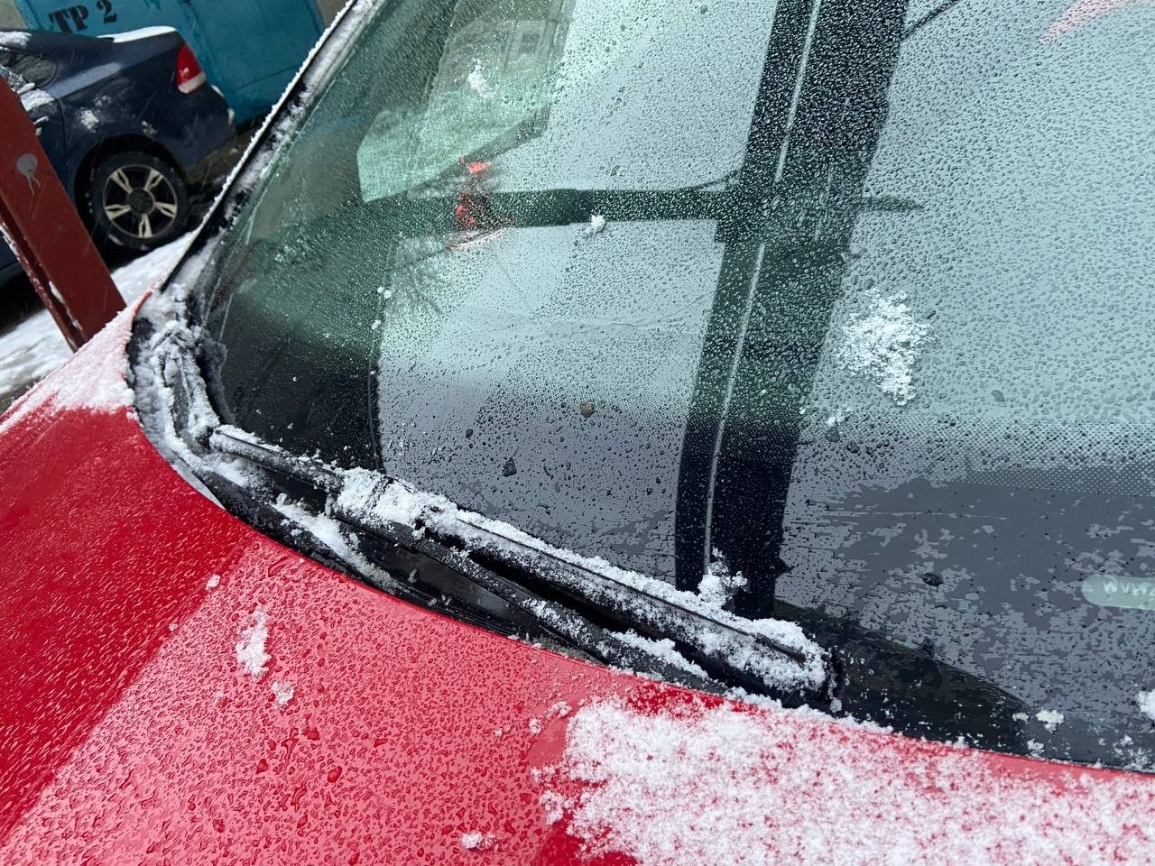 Мифы и правда об автомобильном буме в порту Владивосток