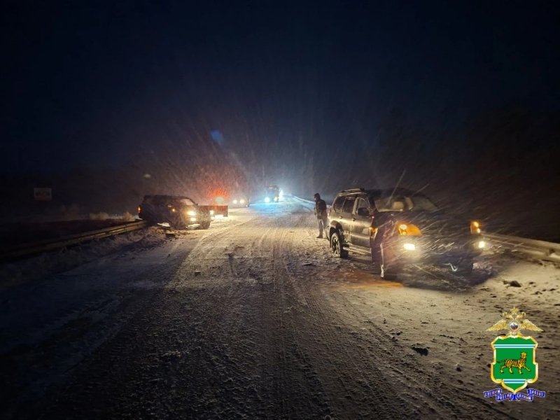 Тяжелые травмы получила женщина-пешеход при наезде авто в ЕАО