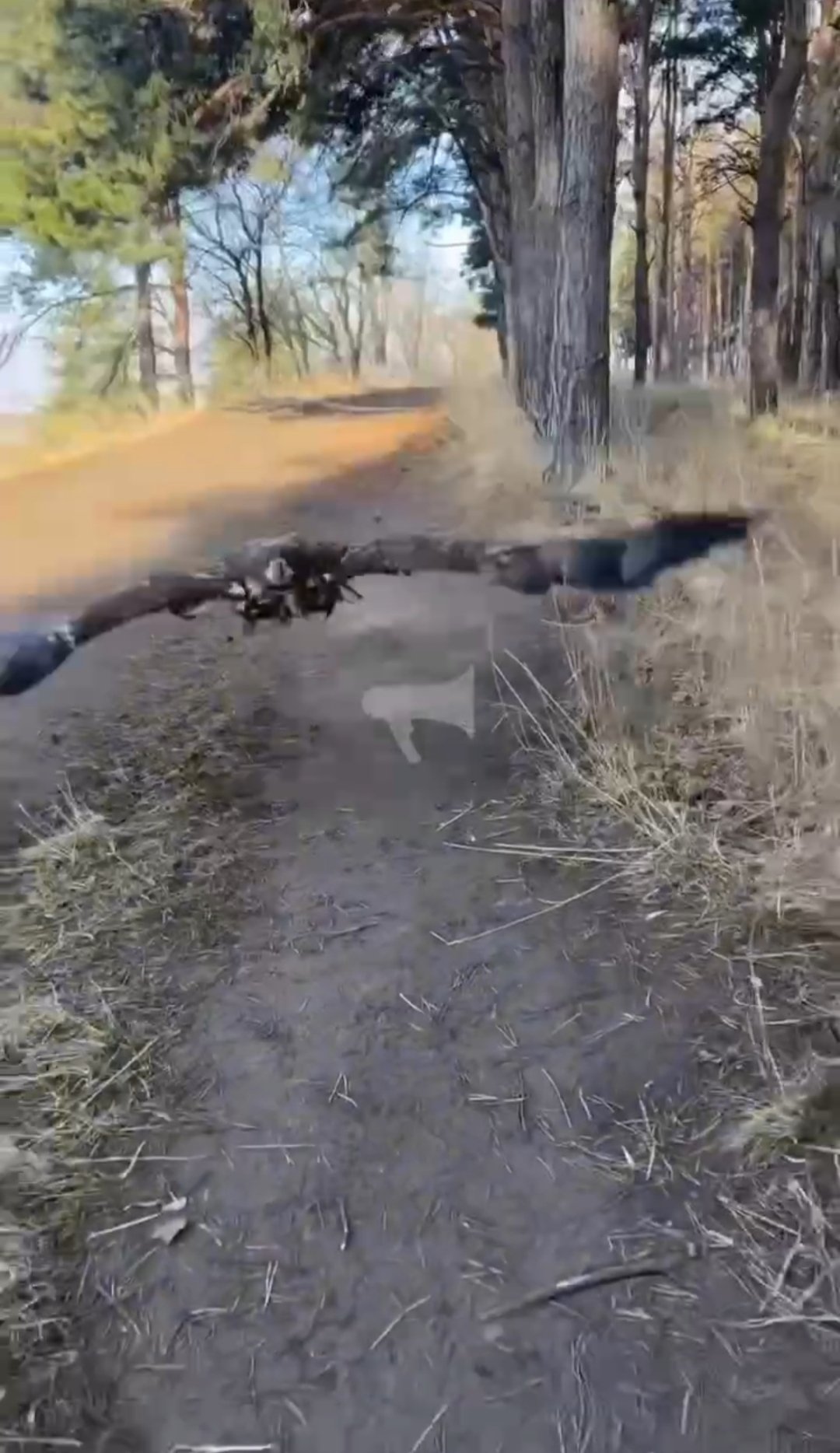 Огромная гора мусора образовалась в одном из дворов Ставрополя