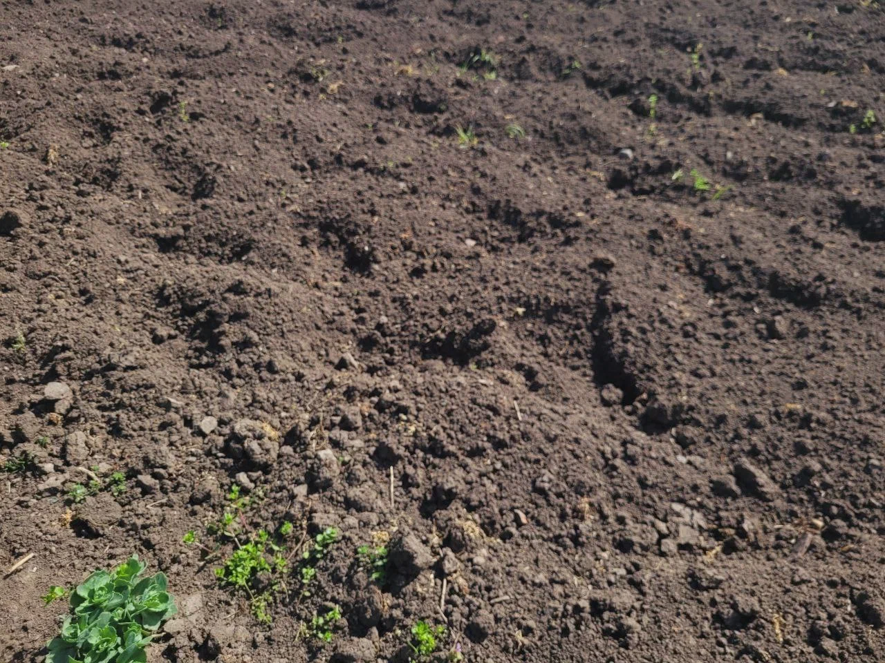 Дачникам врут про пользу навоза и банановой кожуры: травите ваш огород ИА SochiMedia