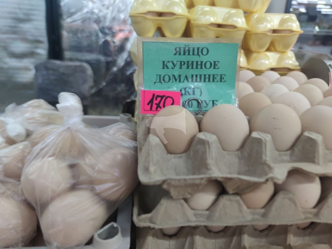 Огромная гора мусора образовалась в одном из дворов Ставрополя