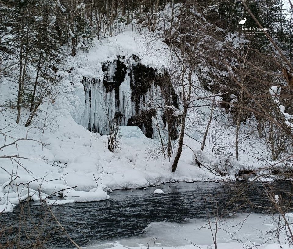 Анастасия Коваленко представит Хабаровский край на чемпионате по каратэ в Японии