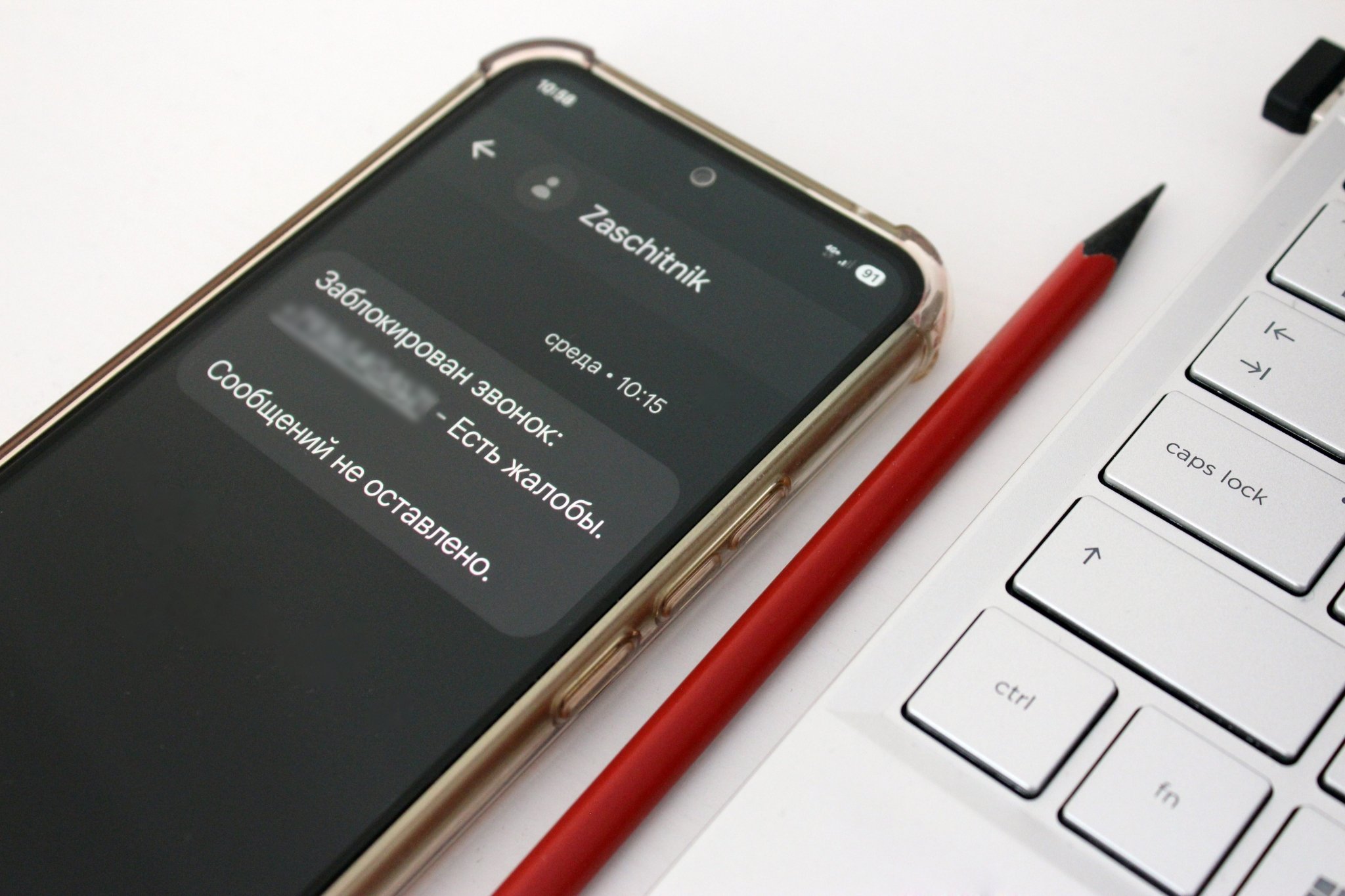 Чудесное Приморье Кирилла Шебеко: выставка известного живописца открылась во Владивостоке