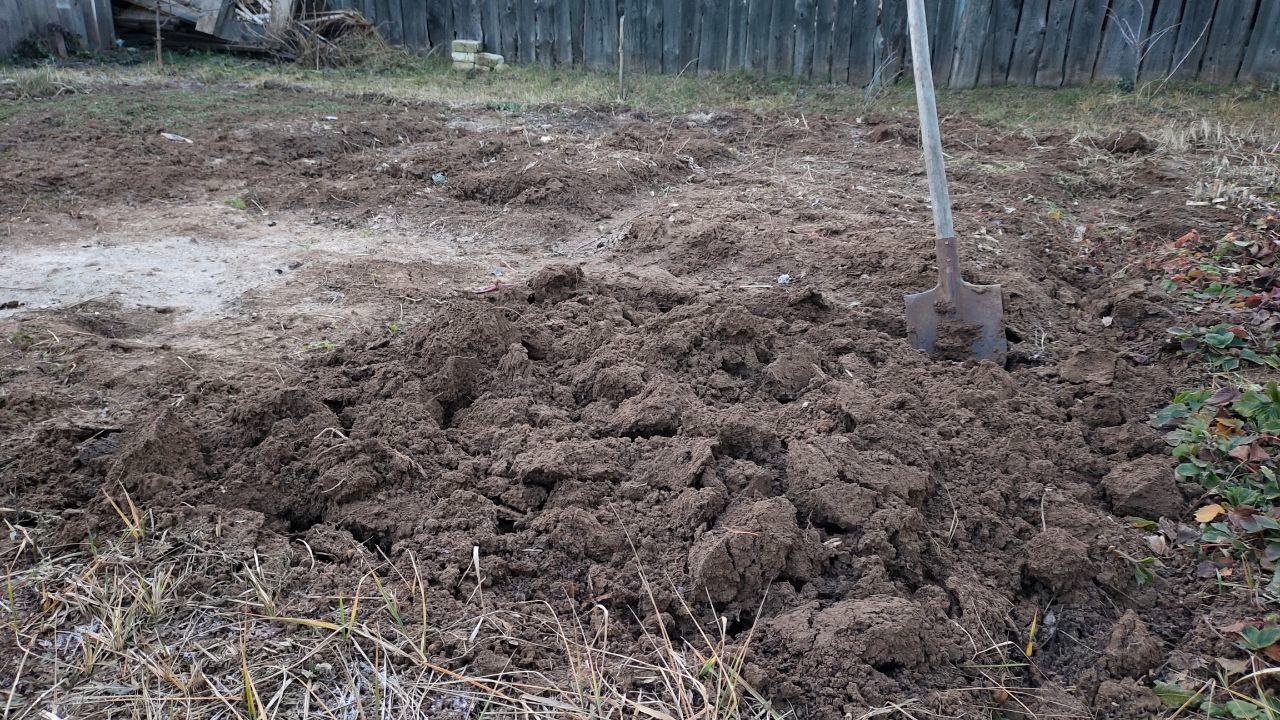 Добавляю 2 ложки — и почва в огороде как пух, урожай больше в 2 раза: копеечное средство Автора