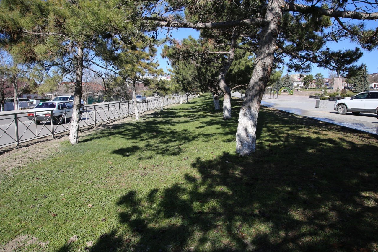 Новую систему автополива протестировали в Бахчисарае Соцсети Д. Скобликова