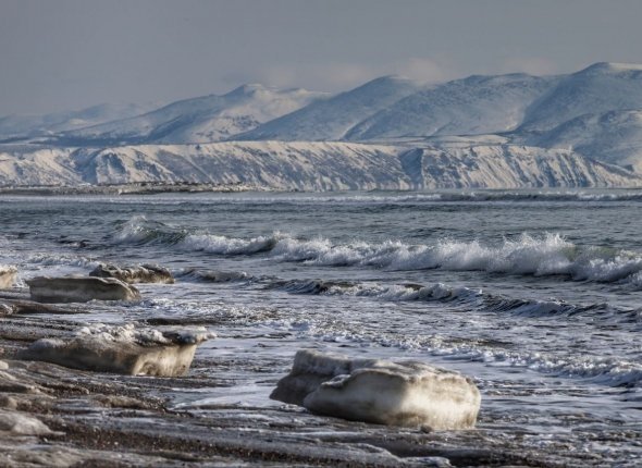 Тематическое фото Юлия Егорова