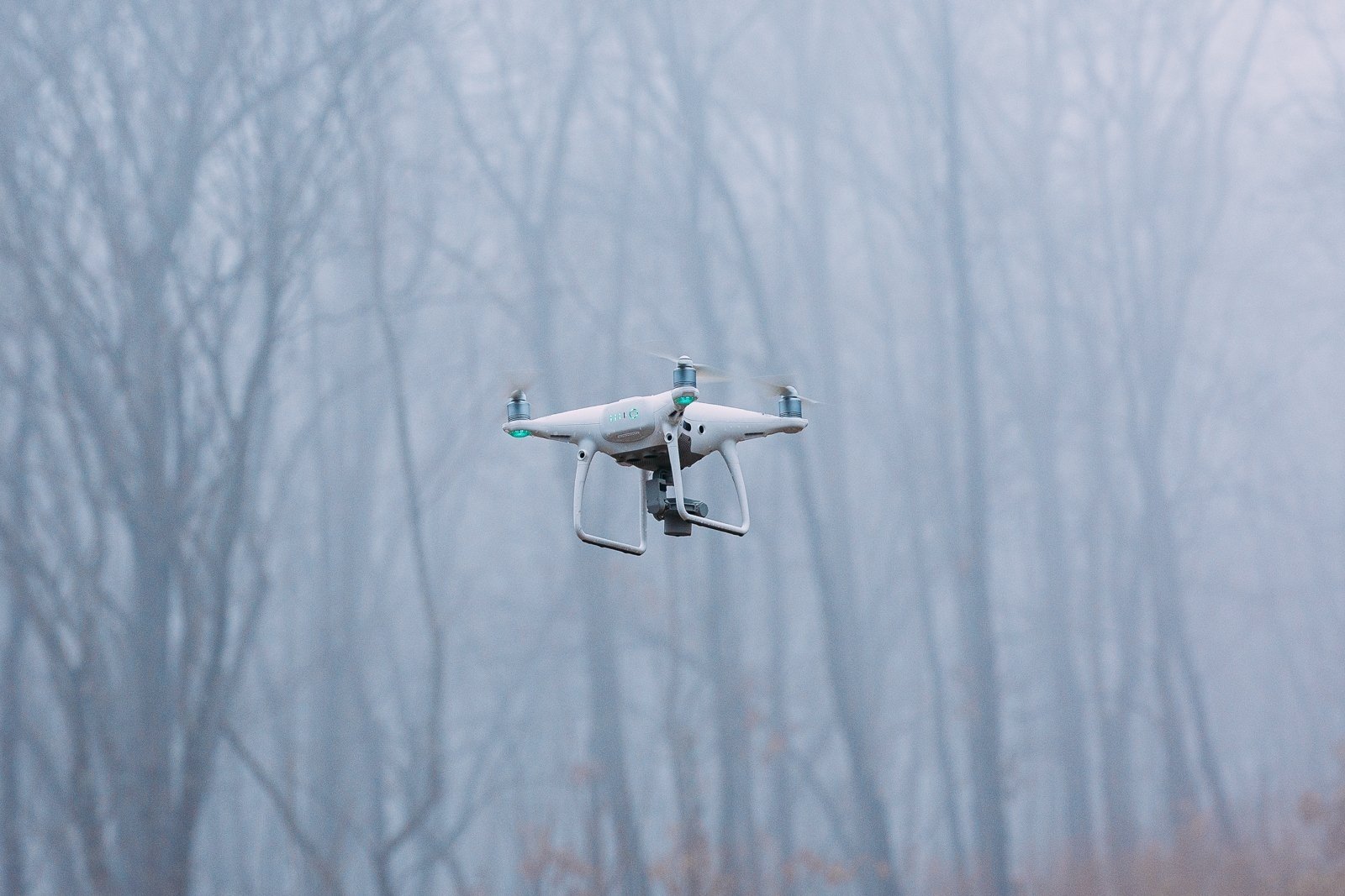 Тематическая иллюстрация ИА PrimaMedia