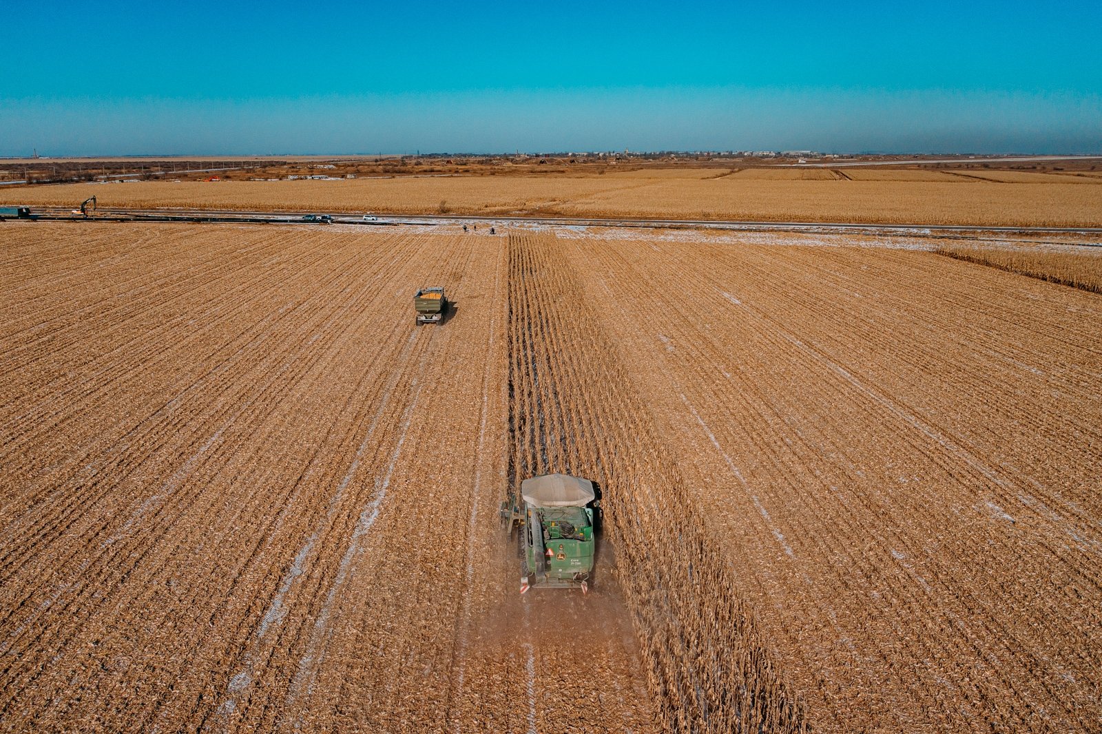кукуруза, уборка кукурузы, поле, сельское хозяйство, сельхоз, сельскохозяйственная техника Мария Смитюк, ИА PrimaMedia.ru