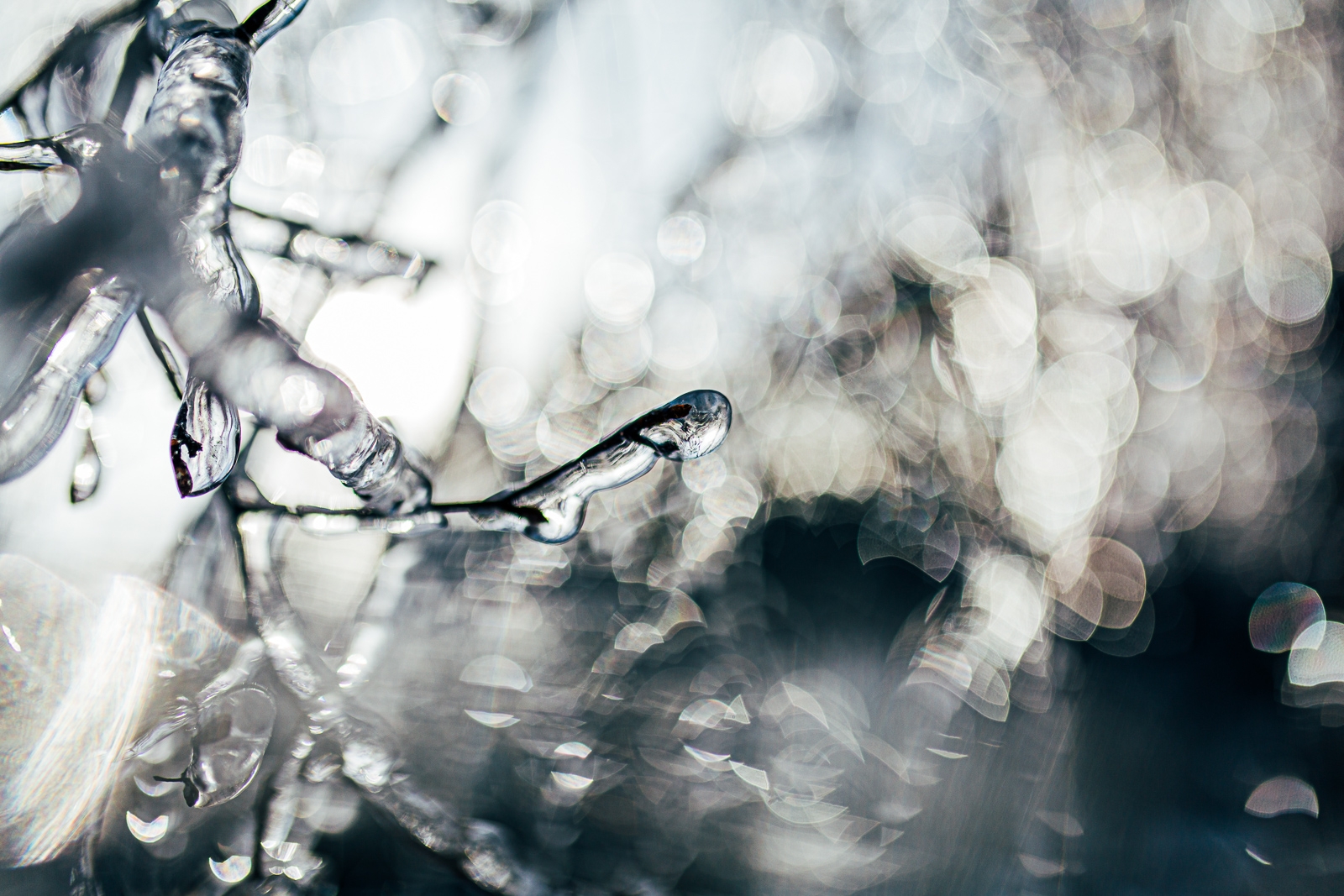 Тематическое фото Мария Смитюк, ИА PrimaMedia