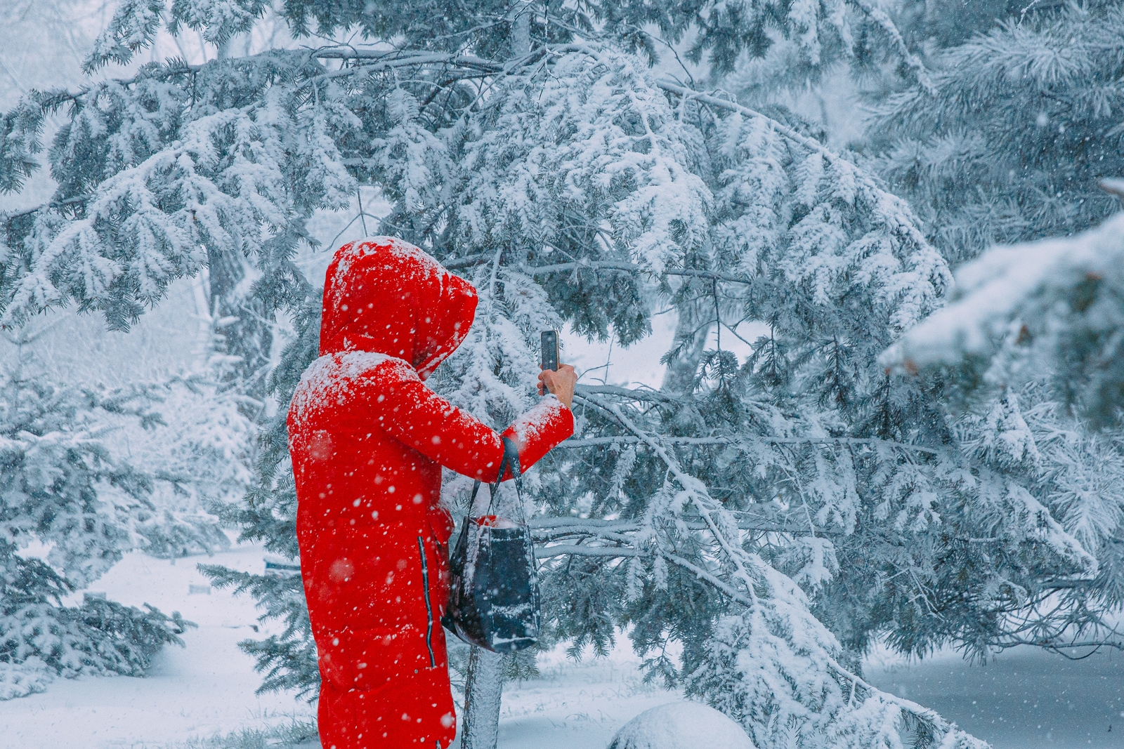 В один день в Якутске выпала месячная норма снега Мария Смитюк, ИА PrimaMedia.ru