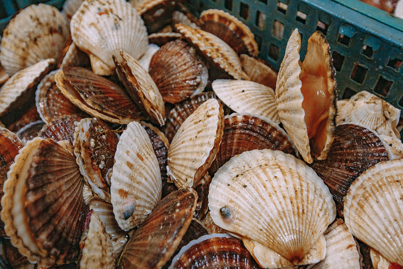 Тематическое фото Мария Смитюк, ИА PrimaMedia