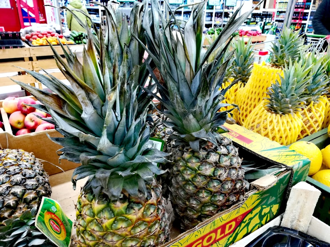 Тематическая иллюстрация Марина  Померанцева , ИА EAOMedia