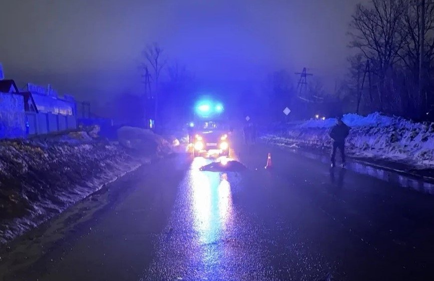 Кадры с места смертельной аварии Госавтоинспекция по Камчатскому краю