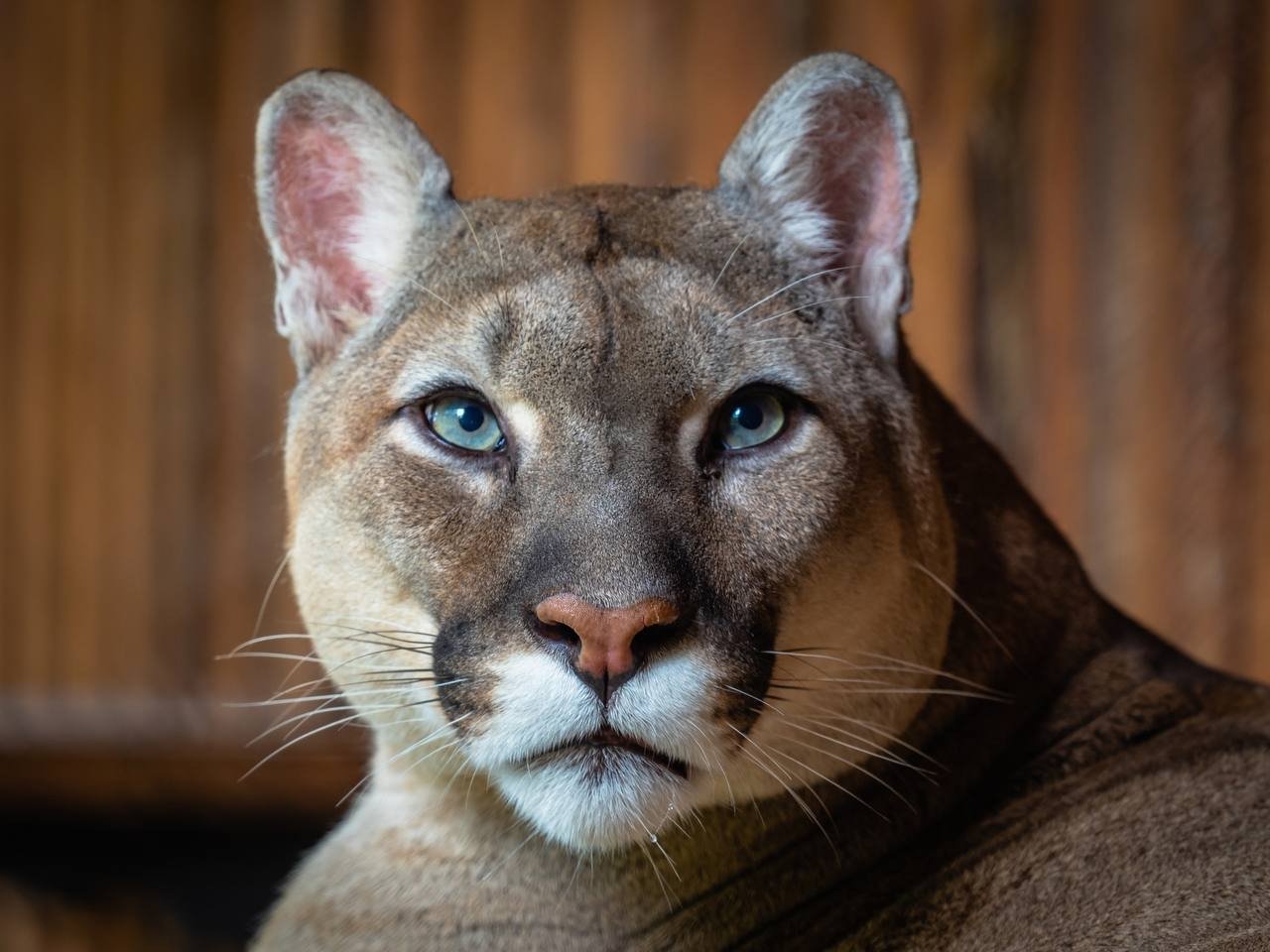 . парк флоры и фауны &quotРоев ручей&quot