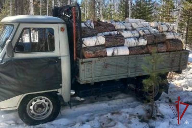 Заготовителя дров в Бурятии поймали на незаконной рубке деревьев Росгвардия по Бурятии