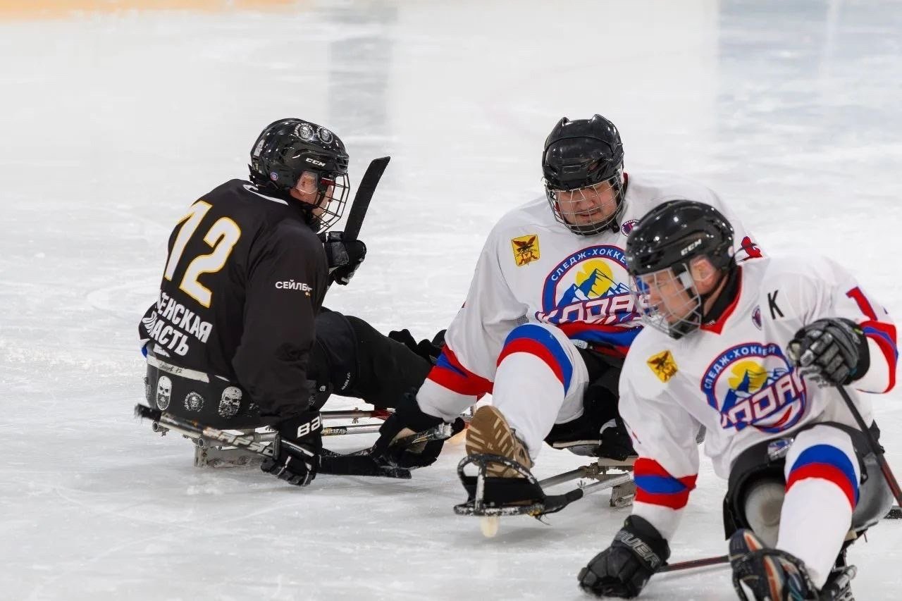 Хоккей филлилал фонда &quotЗащитники Отечества&quot в Забайкальском крае