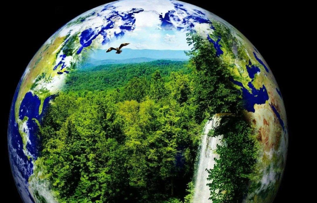 Тематическое фото Прокуратура Магаданской области