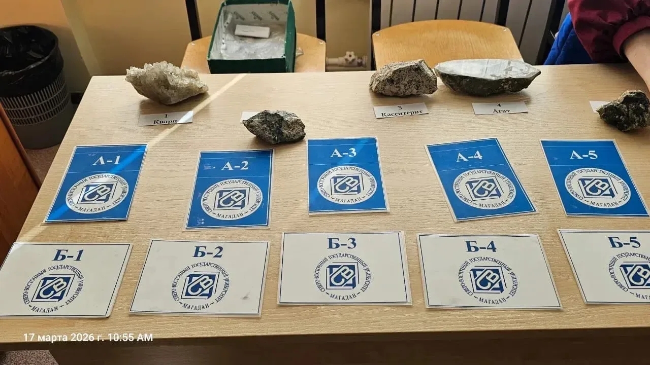 На Колыме стартовал необычный экспериментальный проект Источник