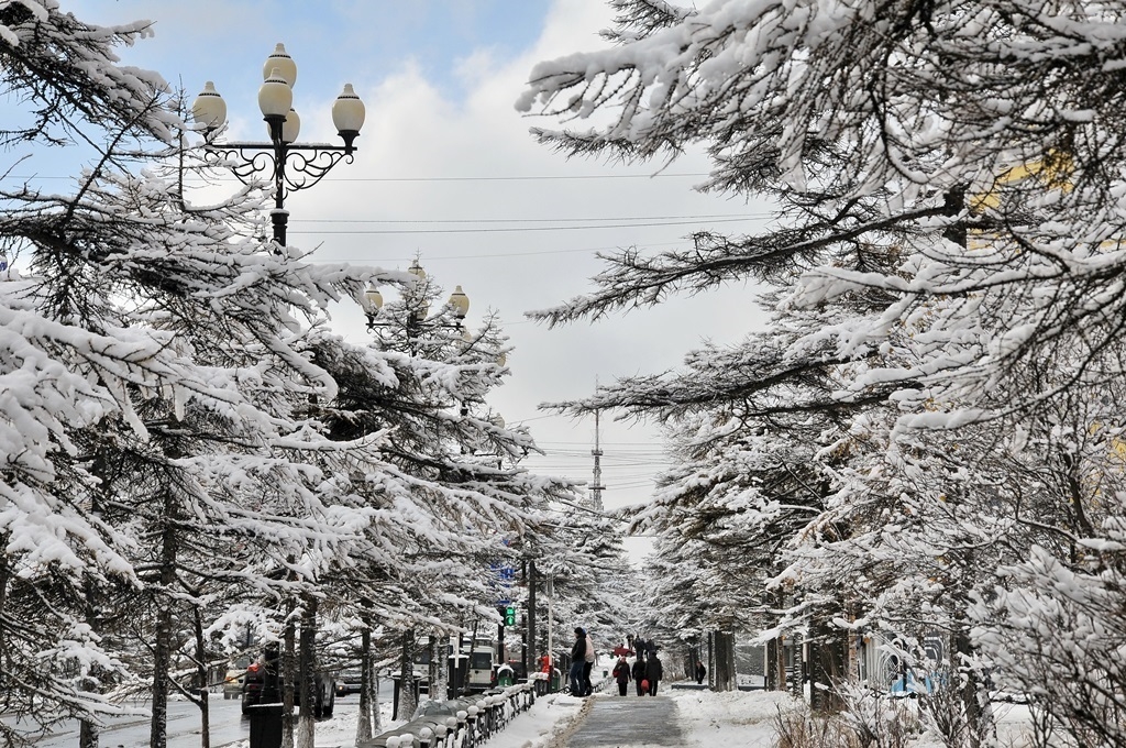 Юным магаданцам и их родителям напоминают о правилах безопасности Источник