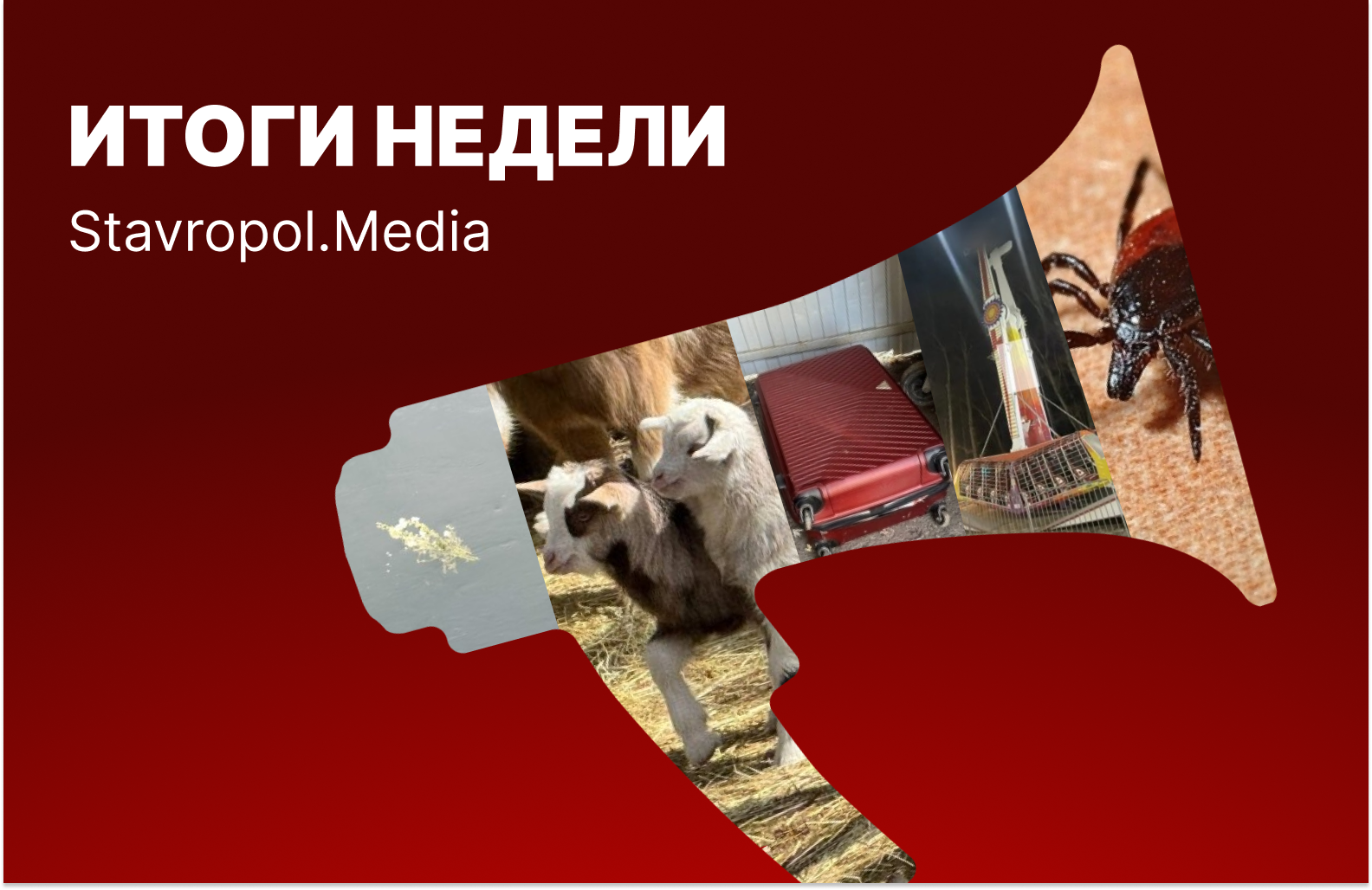 33 дрона, тело в чемоданах, ЧП в парке и пушистый бэби-бум: неделя на Ставрополье ИА Stavropol.Media