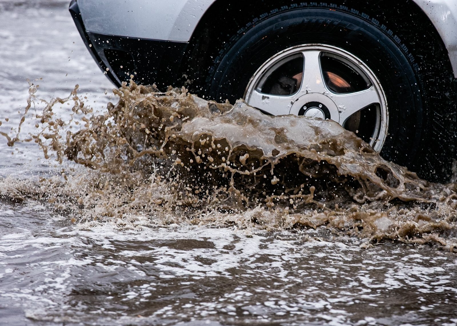 Тематическое фото Евгений Кулешов, ИА PrimaMedia