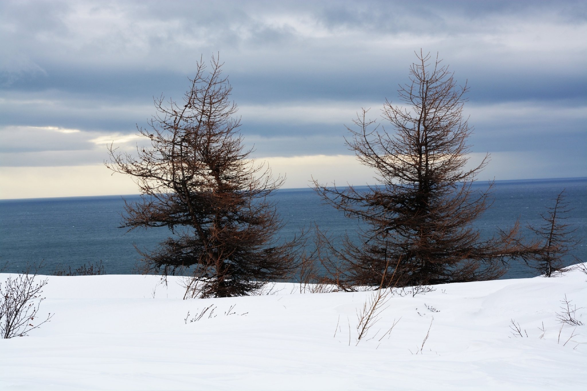Тематическое фото Людмила Шубина