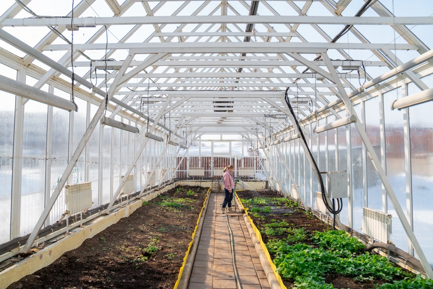 Сахалинские студенты в учебных теплицах выращивают зелень для населения пресс-служба мэрии города