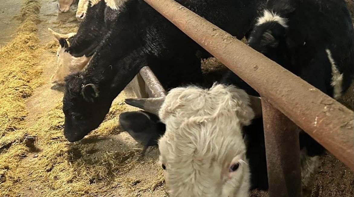 С места происшествия Прокуратура Магаданской области