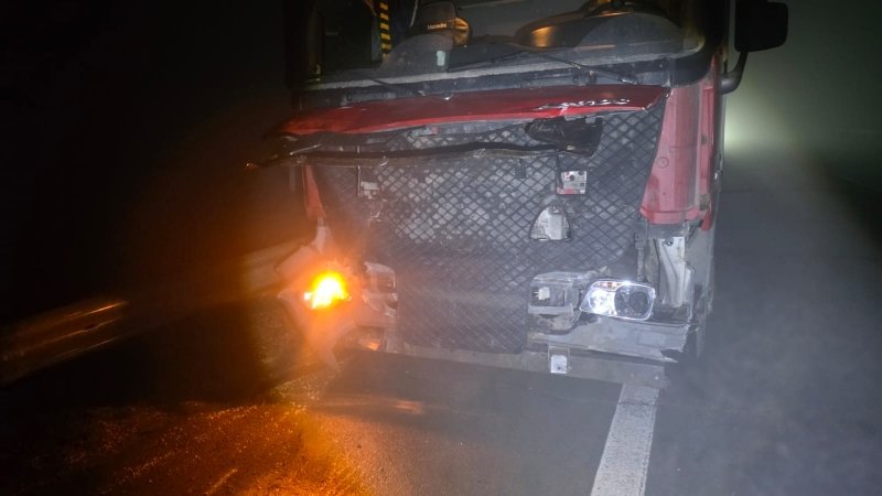 Грузовик сбил стадо коров в Приморье Пресс-служба ОМВД России &quotМихайловский&quot