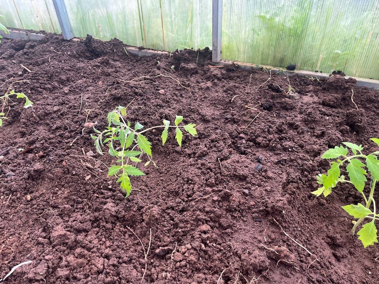 Бросила всего 2 кристаллика марганцовки в 200-литровую бочку — и кристально чистая вода без капли зелени и слизи на всё лето Артем Дубенчук